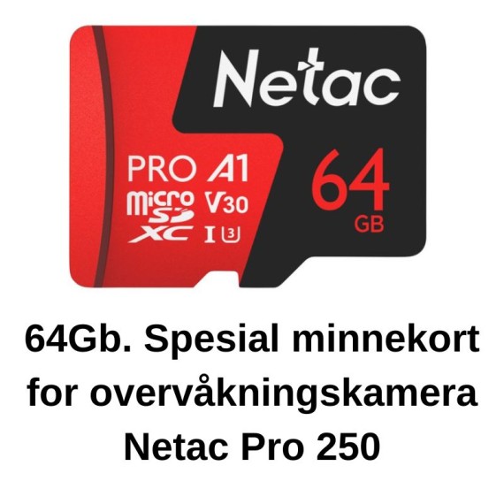 Minnekort overvåkningskamera 64 Gb.