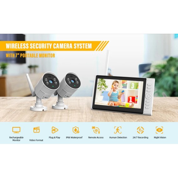 CCTV pack with monitor and two cameras